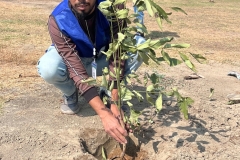 4297f378-6525-4f8a-9195-e759d2800288